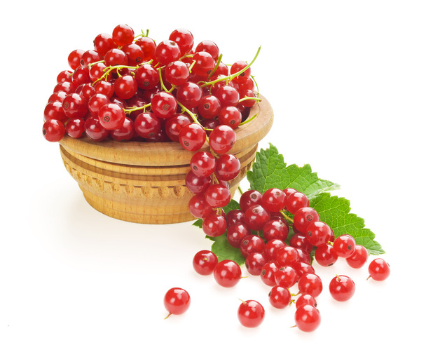 Red currants and green leaves - Photo, image