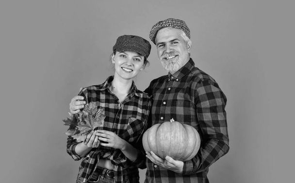 Own harvest. food and harvest. happy man and woman checkered shirt and hat. Give Thanks with maple leaf. Harvest time. Yellow ripe pumpkin. Thanksgiving Day with pumpkin. Vintage family couple - Foto, Imagen