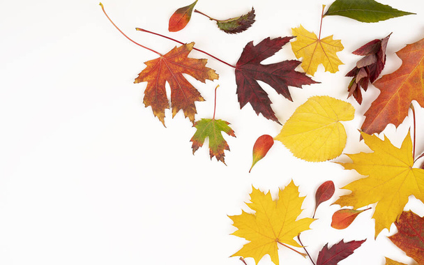 Podzimní skladba. Vzor z podzimního listí. Byt ležel, horní pohled, kopírovací prostor. Koncept podzimu - Fotografie, Obrázek
