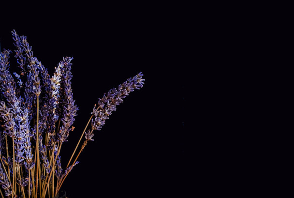 Flores secas de lavanda púrpura sobre fondo negro, Mockup para una idea positiva. espacio de copia.  - Foto, Imagen