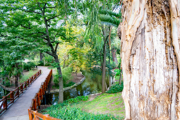 Pont et passerelle en bois entourés de végétation verte dans le parc Retiro de Madrid, en Espagne. L'Europe. Photographie horizontale. - Photo, image
