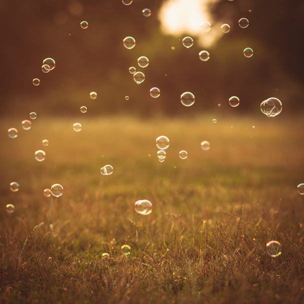 Bubbles in the park  - 写真・画像