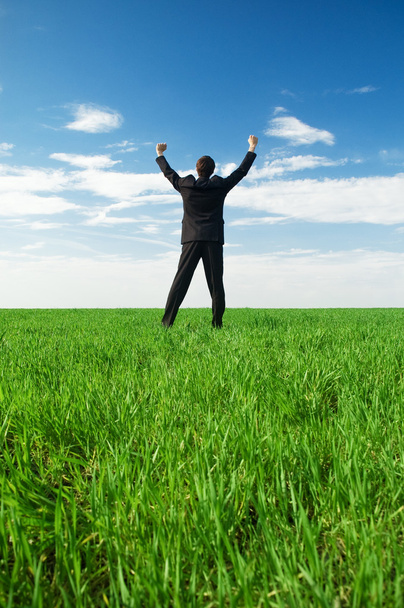 Empresário feliz em pé na grama verde
 - Foto, Imagem