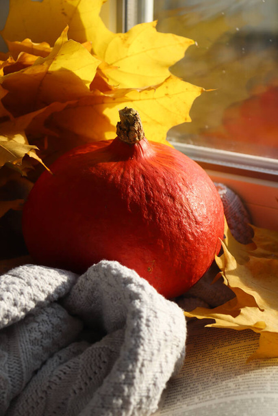 Pumpkin and sweater on the windowsill - Photo, Image