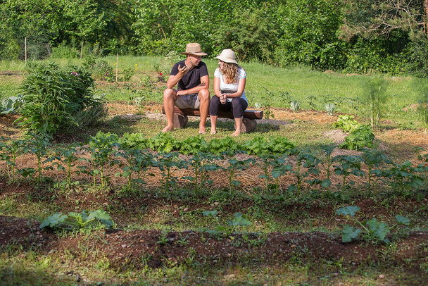 Młody mężczyzna i kobieta siedzi i rozmawia w ogrodzie warzywnym - Zdjęcie, obraz