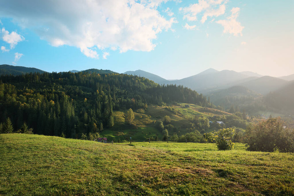 Beautiful view of green pasture in mountains on sunny day - Zdjęcie, obraz