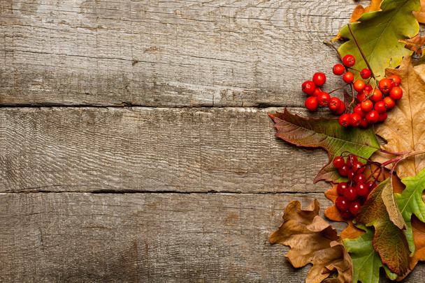 Autumn composition. Yellow and red leaves with bright red berries on a rustic background, place for text, top view, copy space. - Foto, Bild