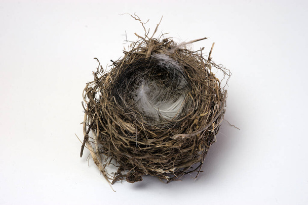 small bird's nest made of dry twigs, on white background - Foto, imagen