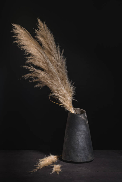 Modern design black ceramic vase  with ornamental natural plants on dark countertop and background. - Foto, imagen