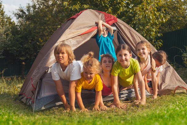 the children are resting in nature in the summer camp - 写真・画像