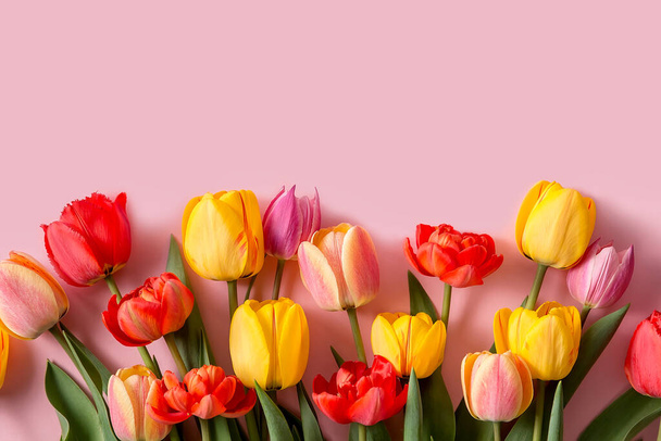 A bouquet of tulips of different colors on a pink background. A ready-made place for your invitation text, congratulations. - Fotoğraf, Görsel