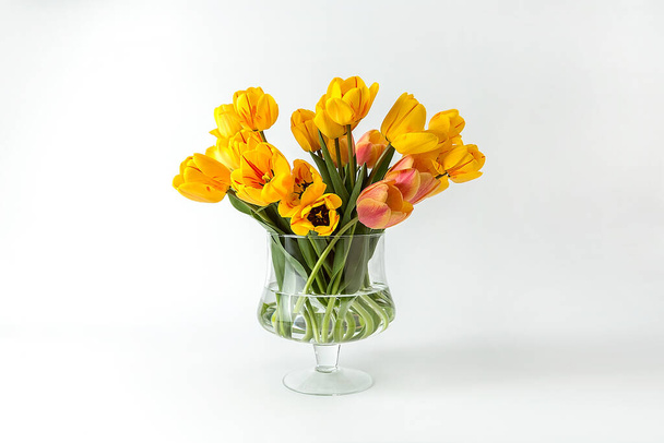 A large bouquet of large yellow tulips in a glass vase on a white background. An elegant composition for your invitation text, congratulations. - Fotografie, Obrázek