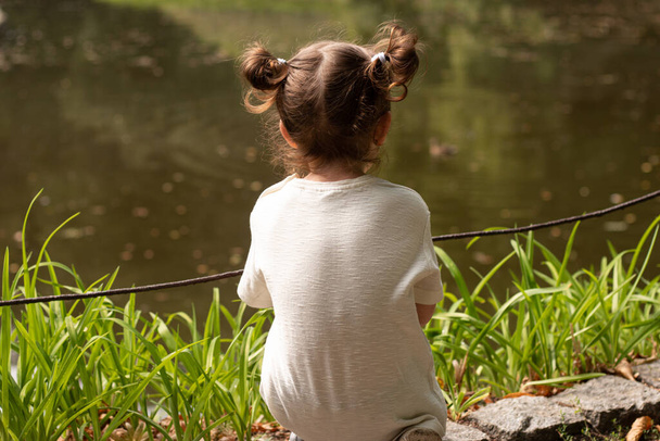 Little cute redhead girl with ponytails sits on the shore of a pond with her back to the camera - Photo, Image