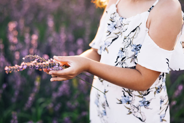 Little child harvesting lavender. Just hand. Womans hands holding a small lavander bouquet. Kid hands touching lavender, feeling nature. Baby playing on a lavender meadow field background - Fotó, kép