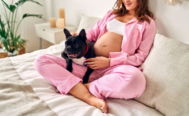 Молода вагітна жінка сидить на ліжку в спальні зі своєю подругою собакою. Концепція материнства
. - Фото, зображення