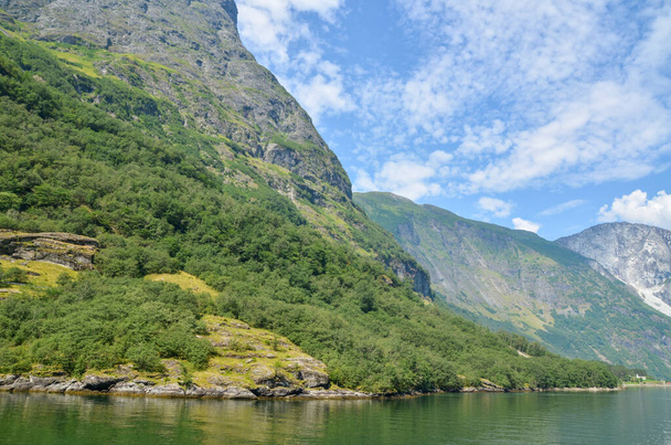 Csodálatos kilátás a természetre a kék vizek és a fa borított sziklák kiálló a vízből az egyik legszebb fjordok Norvégiában, Sognefjord  - Fotó, kép