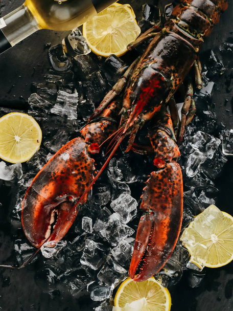 Гурманська здорова їжа - варений омарів варений
 - Фото, зображення
