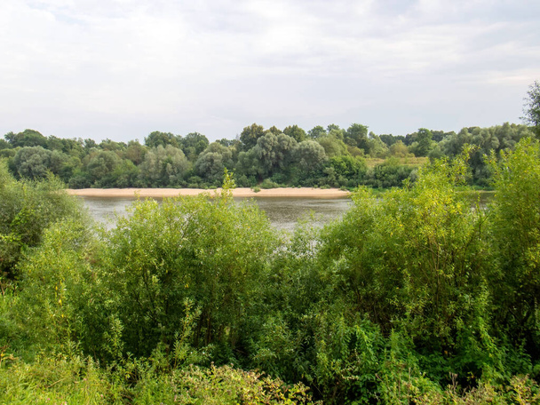 a margem do rio é coberta de floresta, no verão - Foto, Imagem