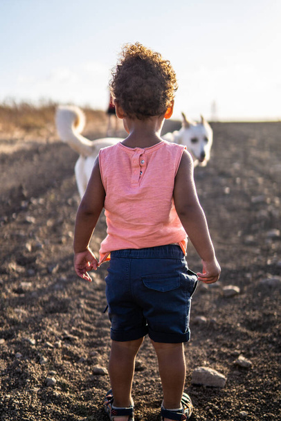 black ethiopian toddler standin on pathway in middle of field and looking at a white dog in israel - Photo, Image