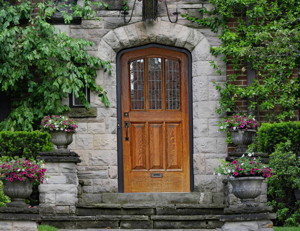 elegante hölzerne Haustür mit Bleiglas, umgeben von Weinreben und Sträuchern - Foto, Bild