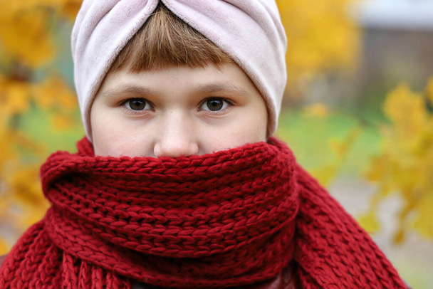 Girl wrapped in red scarf to be warm and looking into camera, close-up outdoors - Foto, imagen