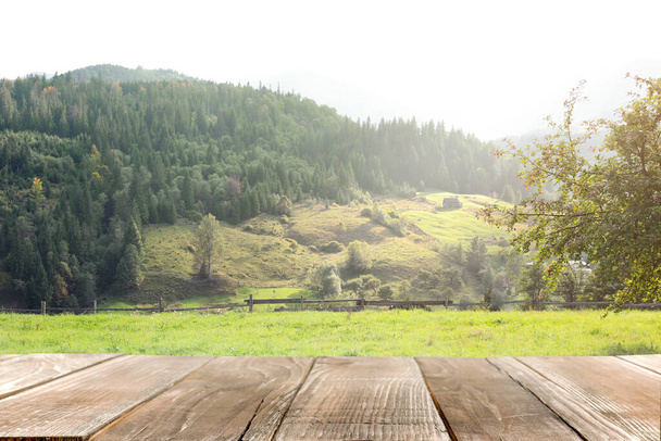 Prázdný dřevěný povrch a krásný výhled na jehličnatý horský les - Fotografie, Obrázek