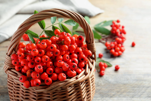 Fresh ripe rowan berries with green leaf in wicker basket on table, space for text - Foto, Bild