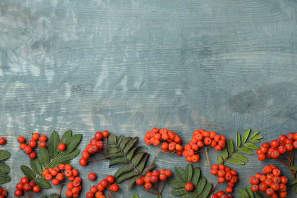 Fresh ripe rowan berries and green leaves on light blue wooden table, flat lay. Space for text - Φωτογραφία, εικόνα