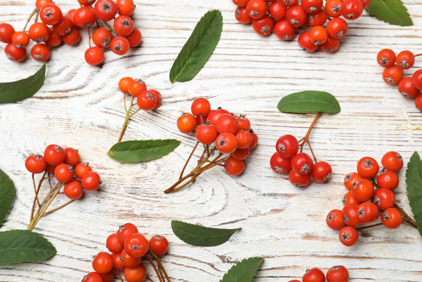 Fresh ripe rowan berries and green leaves on white wooden table, flat lay - Photo, Image