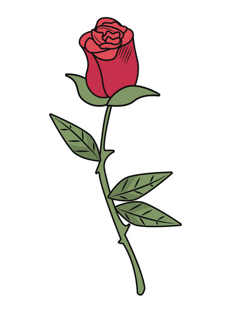 ο κόκκινος αυξήθηκε λουλούδι - Διάνυσμα, εικόνα