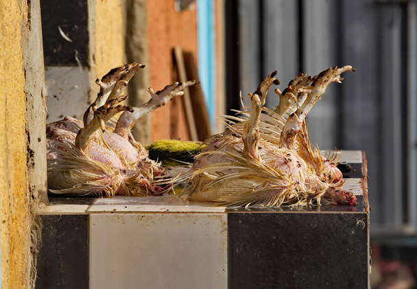 Nyugat-Afrika. Mauritánia. Gyorsan felszedett, legyekkel borított hasított csirkék a városi piac pultján. - Fotó, kép