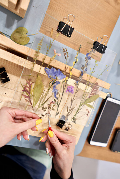 A woman fixes glass plates.. Master class on creating frame with Herbarium in tiffany technique in stained glass. Herbarium of dried different plants and flowers placed under a glass - Φωτογραφία, εικόνα