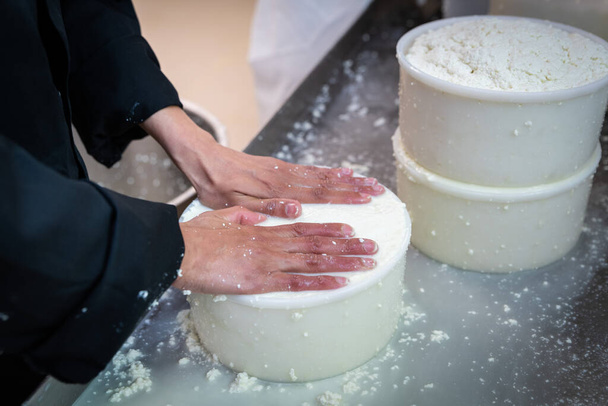 Proceso de elaboración de queso en un taller. Manos haciendo queso, de cerca - Foto, Imagen