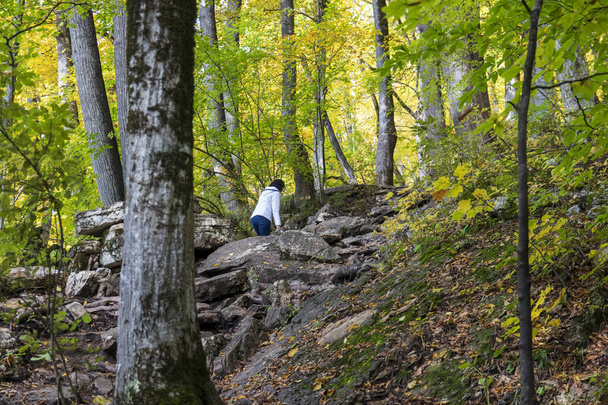   Hike in a beautiful mountain forest. Back view - Фото, зображення