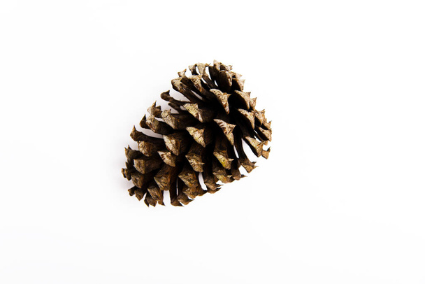 Christmas pine cone on white background. - 写真・画像