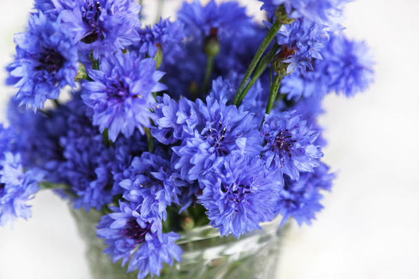 Flores de milho azuis
 - Foto, Imagem