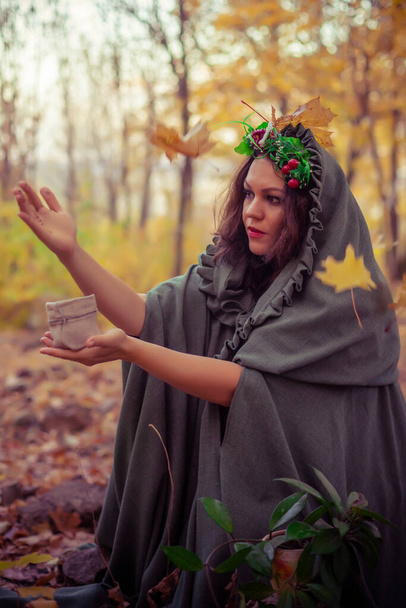 Wicked witch wandering in woods - Valokuva, kuva