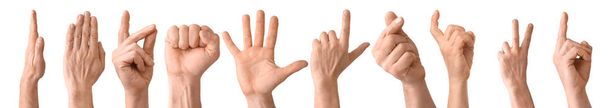 Collection of gesturing hands on white background - Photo, Image