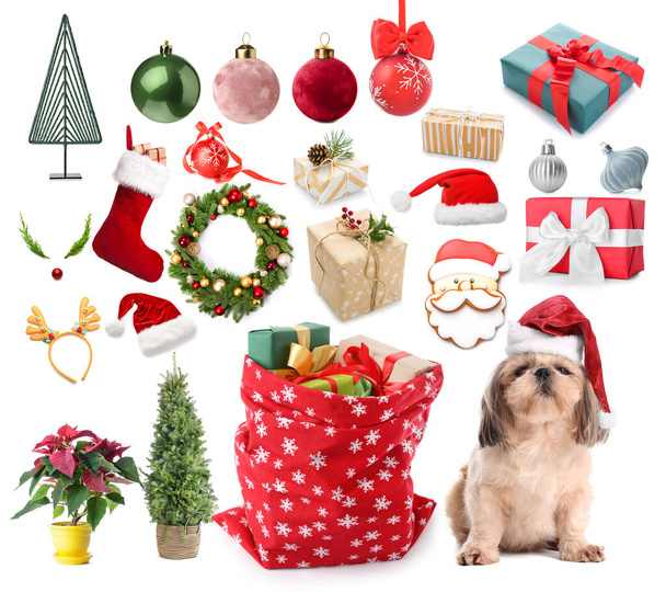 Christmas collage with cute dog and Santa bag on white background - Photo, Image