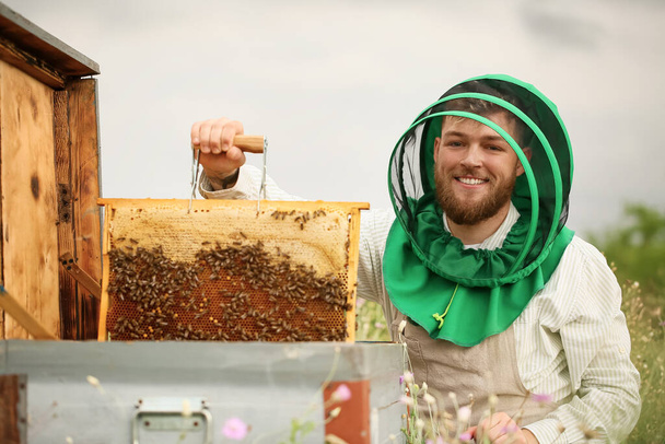 Pszczelarz pracujący w swojej pasiece - Zdjęcie, obraz