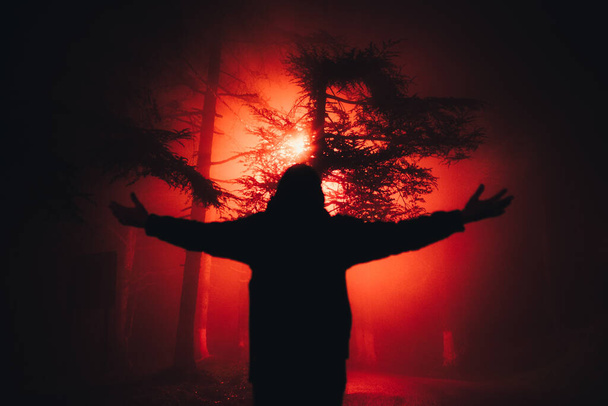 An impressive image of a person standing in a forest against fire with his arms open. - Fotografie, Obrázek