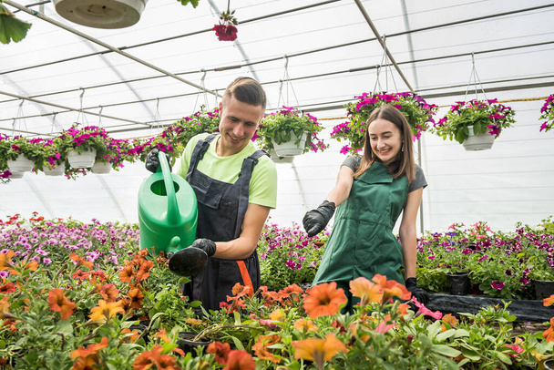 Happy young couple watering flowers with a watering can in flowers garden center - Photo, Image