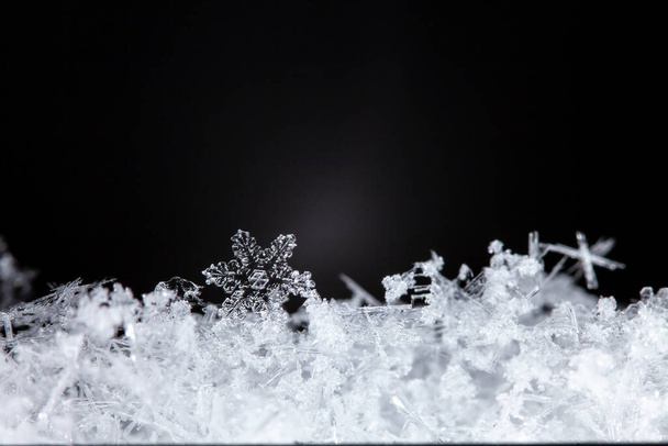 macro shot of snowflakes  - Photo, Image