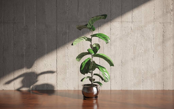 home plant in 3d room interior - Photo, Image