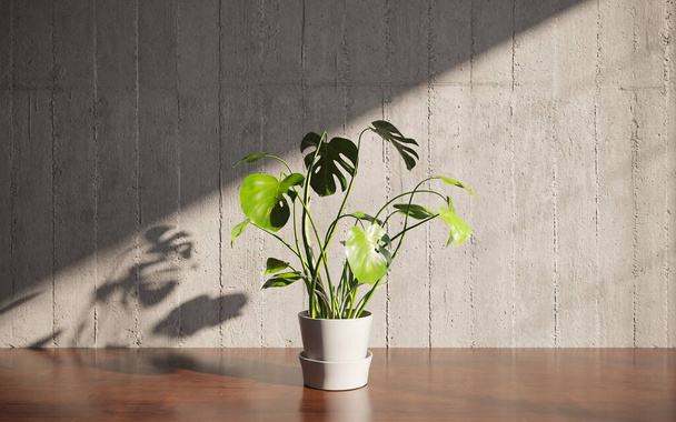 home plant in 3d room interior - Photo, Image