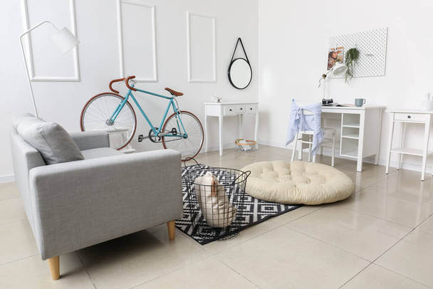 Komfortowy salon z nowoczesnym rowerem - Zdjęcie, obraz