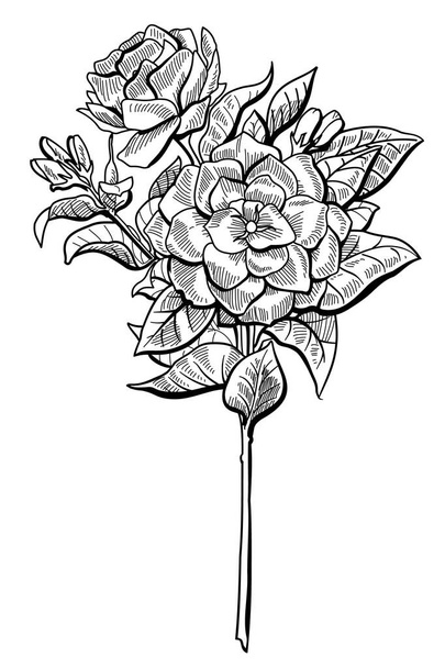 Siyah beyaz el çiziyor çiçekleri - Vektör, Görsel