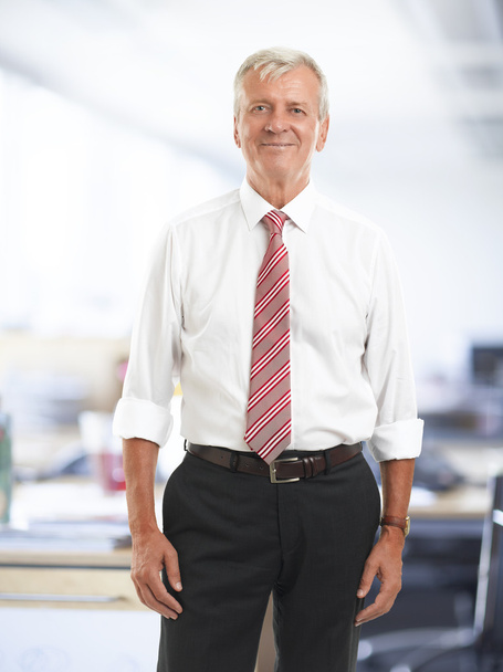 Executive senior businessman - Photo, Image