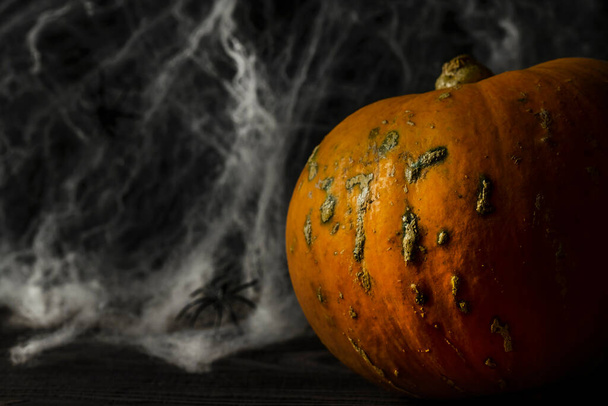 Halloween-Kürbis auf dunklem Hintergrund mit Spinnen und Netz. Textraum - Foto, Bild