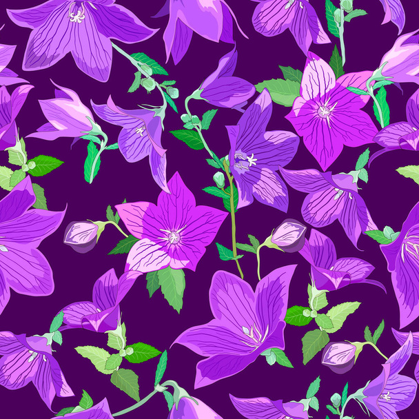 Seamless pattern with Campanula flowers in lilac tones with leaves isolated on a dark purple background - Διάνυσμα, εικόνα